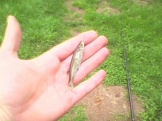 дима ?? фото №47