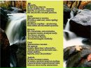 Іван Савіцький фотография #23 (источник - https://vk.com/id13547421)