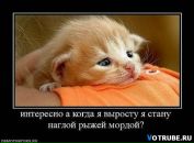 Фотография Ведениной Юлии