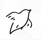 Фотография Шумковой Наталии