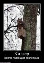 Андрій Гульчук фотография #19 (источник - https://vk.com/id21827585)