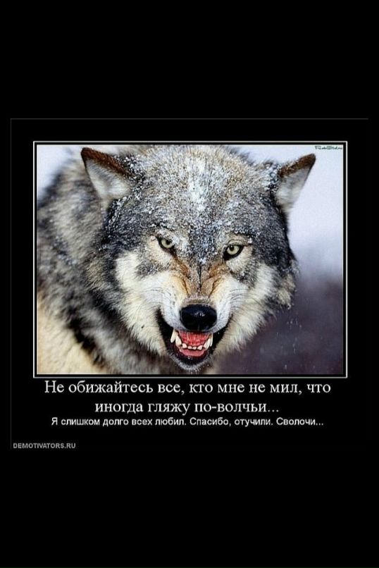 Даша Иванова фотография #35