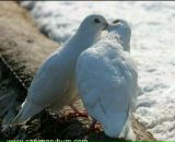 Фотография Красильниковой Ольги