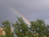 Павел Тондрик фотография #18 (источник - https://vk.com/id96433)