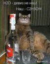 Фотография Поливанова Вальдемара
