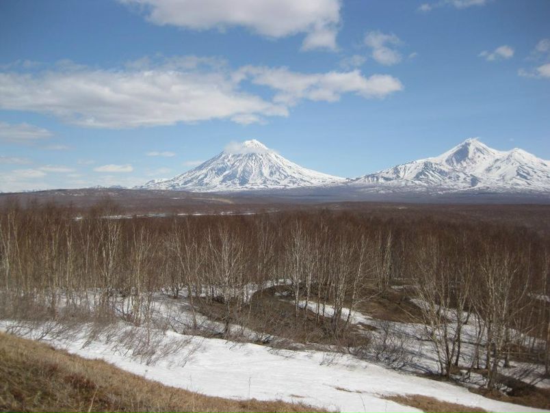 Дмитрий Ушковский фото №5