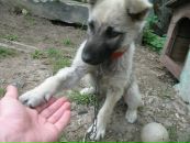 Слава Олейников фотография #42 (источник - https://vk.com/id18881483)