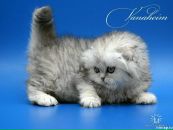Фотография Фёдоровой Надежды
