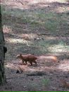Богдан Сітарський фотография #32 (источник - https://vk.com/id64854310)