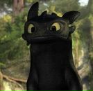 Фотография Прокопенко Виталика