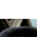 Тетяна Черешньовська фотография #9 (источник - https://vk.com/id13292895)