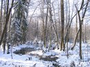 Дмитрий Башкин фотография #13 (источник - https://vk.com/id163319098)