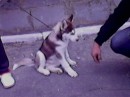 Ірина Шпортко фотография #29 (источник - https://vk.com/id77277537)