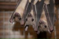 Варвара Мищенко фотография #35 (источник - https://vk.com/id1838784)