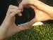 Oly♥ Love фотография #10 (источник - https://vk.com/id127005873)
