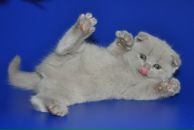 Фотография Арефьевой Юли