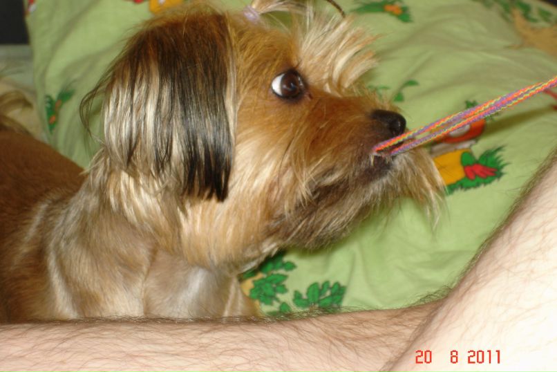 Иван Андреев фотография #4