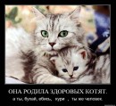 Інна Шевчук фотография #34 (источник - https://vk.com/id92127200)