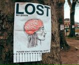 Инна Степаненко фотография #28 (источник - https://vk.com/id3637560)