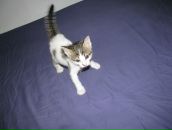 Ольга Приходько фотография #6 (источник - https://vk.com/id474264)