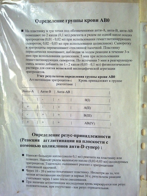 Анна Степанова фотография #43