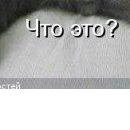 Сашка Пілюшенко фотография #33 (источник - https://vk.com/id84577810)
