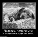 Юлія Билень фотография #23 (источник - https://vk.com/id23537524)