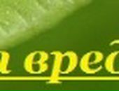 Євген Кобильник фотография #23 (источник - https://vk.com/id59704521)