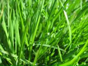 Маряна Сокіл фотография #22 (источник - https://vk.com/id8316949)