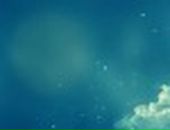 Анастасия Солдатова фотография #5 (источник - https://vk.com/id10623)