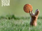 Фотография Перевозникова Бориса