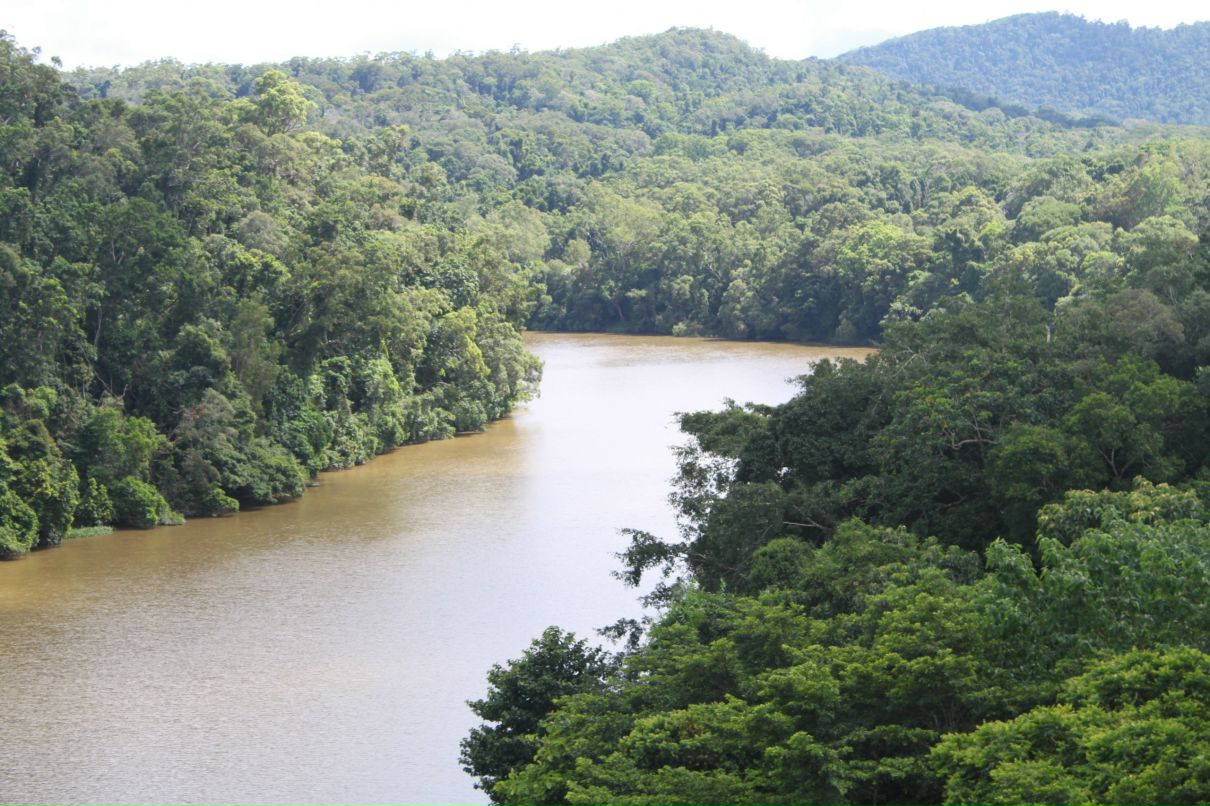 Дмитрий Венгерцев фотография #13