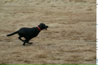 Вова Юрочкін фотография #34 (источник - https://vk.com/id15084244)