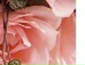 Аня Хасанова фотография #11 (источник - https://vk.com/id231013)