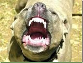 Фотография Andreev Artyr