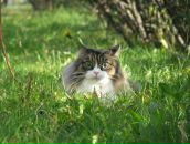 Фотография Бахаевой Нади