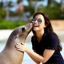 Joe Jonas фотография #38 (источник - https://vk.com/id168167436)