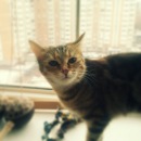 Фотография Шарун Анны