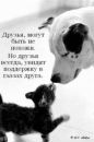 Ярослава Фізер фотография #38 (источник - https://vk.com/id122806502)
