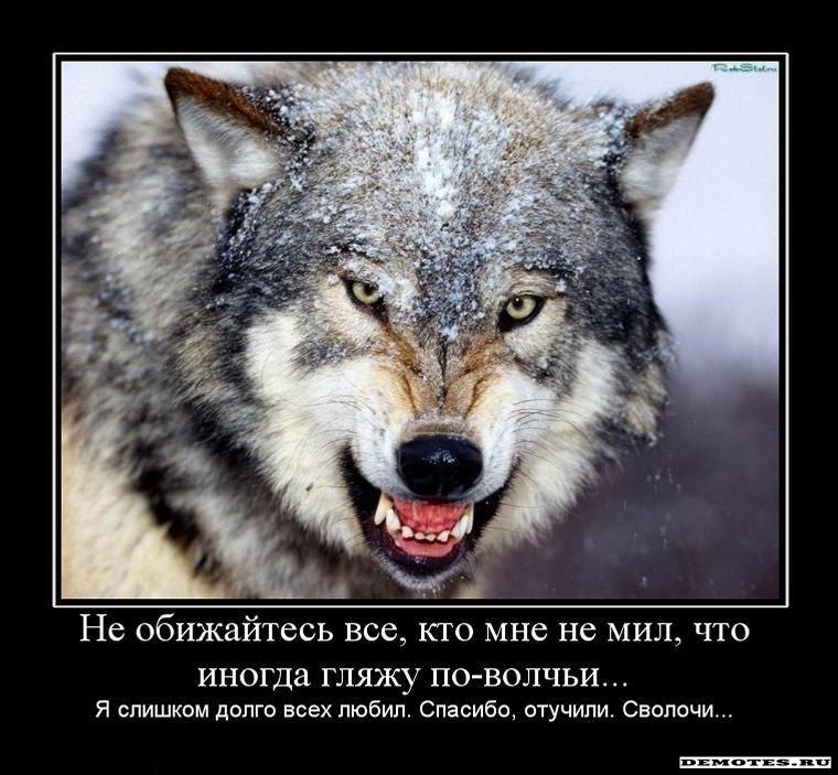 Виктор ??? фотография #2