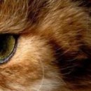 Настінька Каменскіх фотография #14 (источник - https://vk.com/id143328636)