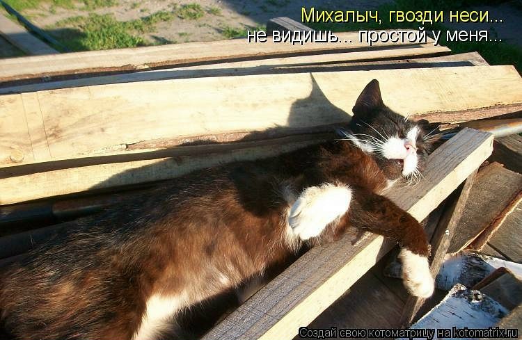 №2, Михаил Романов, 38 лет, Москва №2, Михаил Романов, 38 лет, Москва