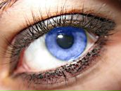 Світлана Середа фотография #8 (источник - https://vk.com/id57461993)