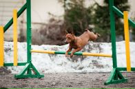 Фотография Уберской Елены