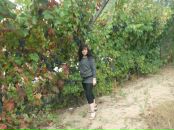 Іра Сарабун фотография #34 (источник - https://vk.com/id22492009)