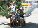Богдан Хомяк фотография #1