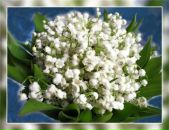 Фотография Аминевой Гульназ