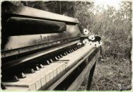 Вікторія Євгенів фотография #35 (источник - https://vk.com/id78141606)