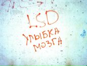 Фотография Мадыкина Алексея