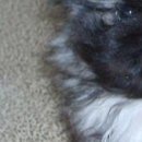 Валік Бойко фотография #49 (источник - https://vk.com/id138215938)